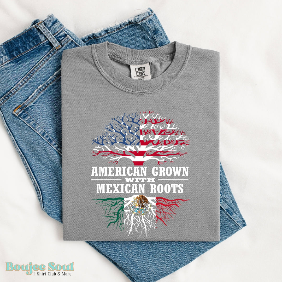 American Grown with Mexican Roots Graphic Tee Grey
